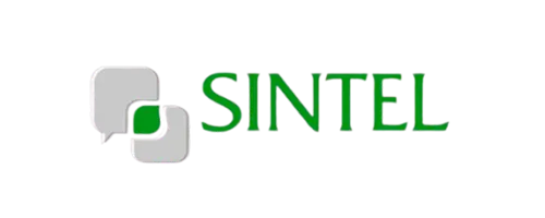 sintel partner